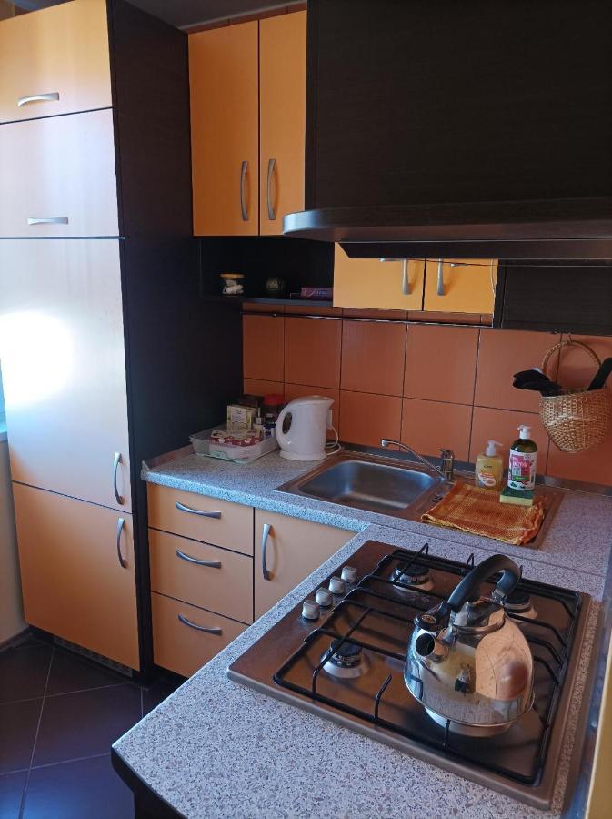 Šiauliai Centrinio Parko Apartamentai מראה חיצוני תמונה